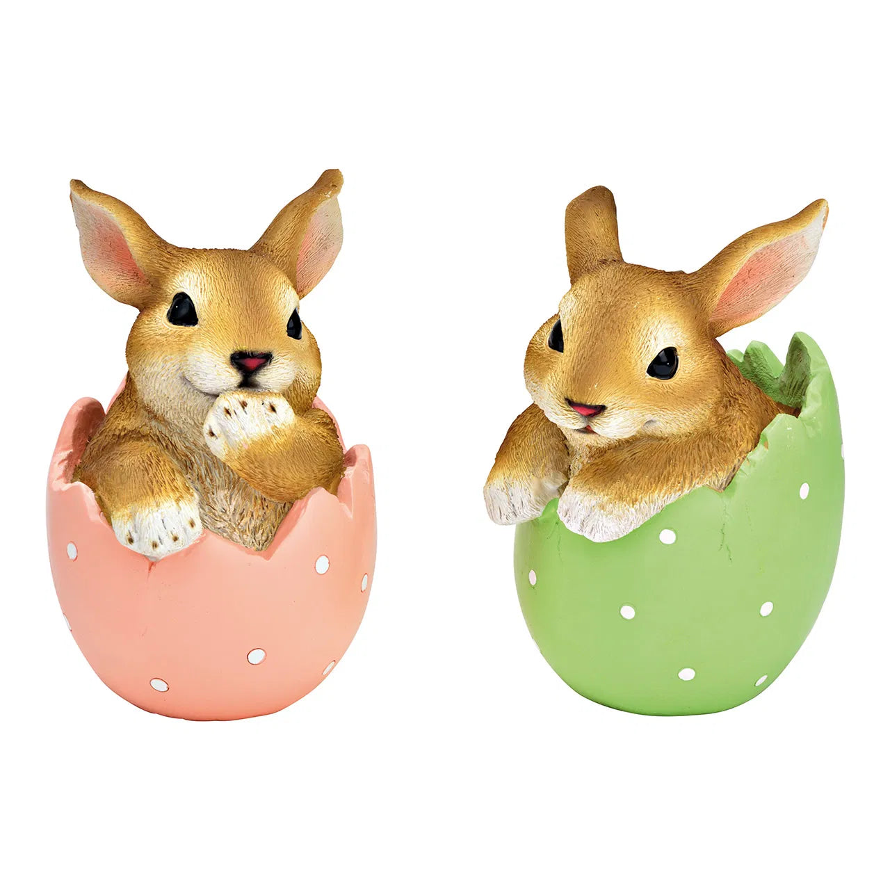 Bunny in Egg Shell