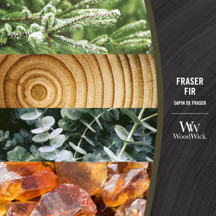 Frasier Fir Medium