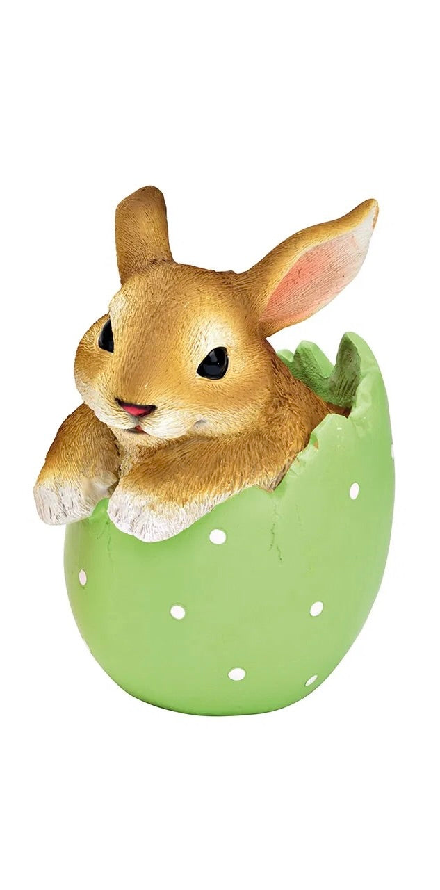 Bunny in Egg Shell