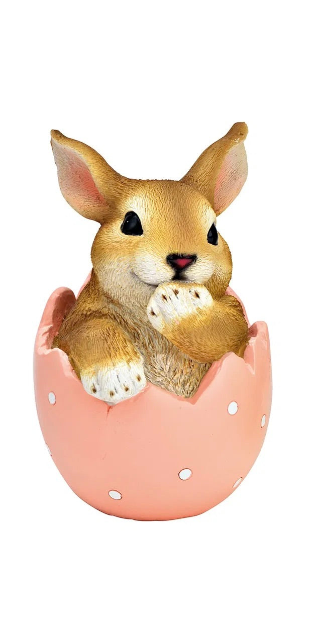 Bunny in Egg Shell