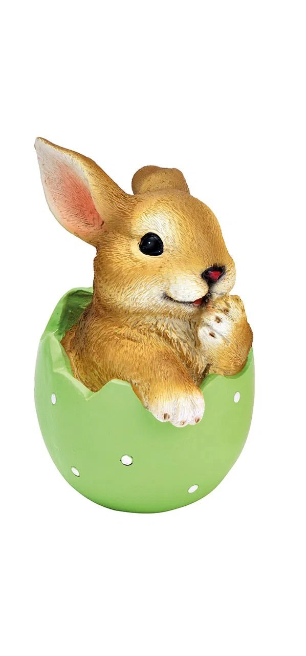 Bunny in Egg Shell