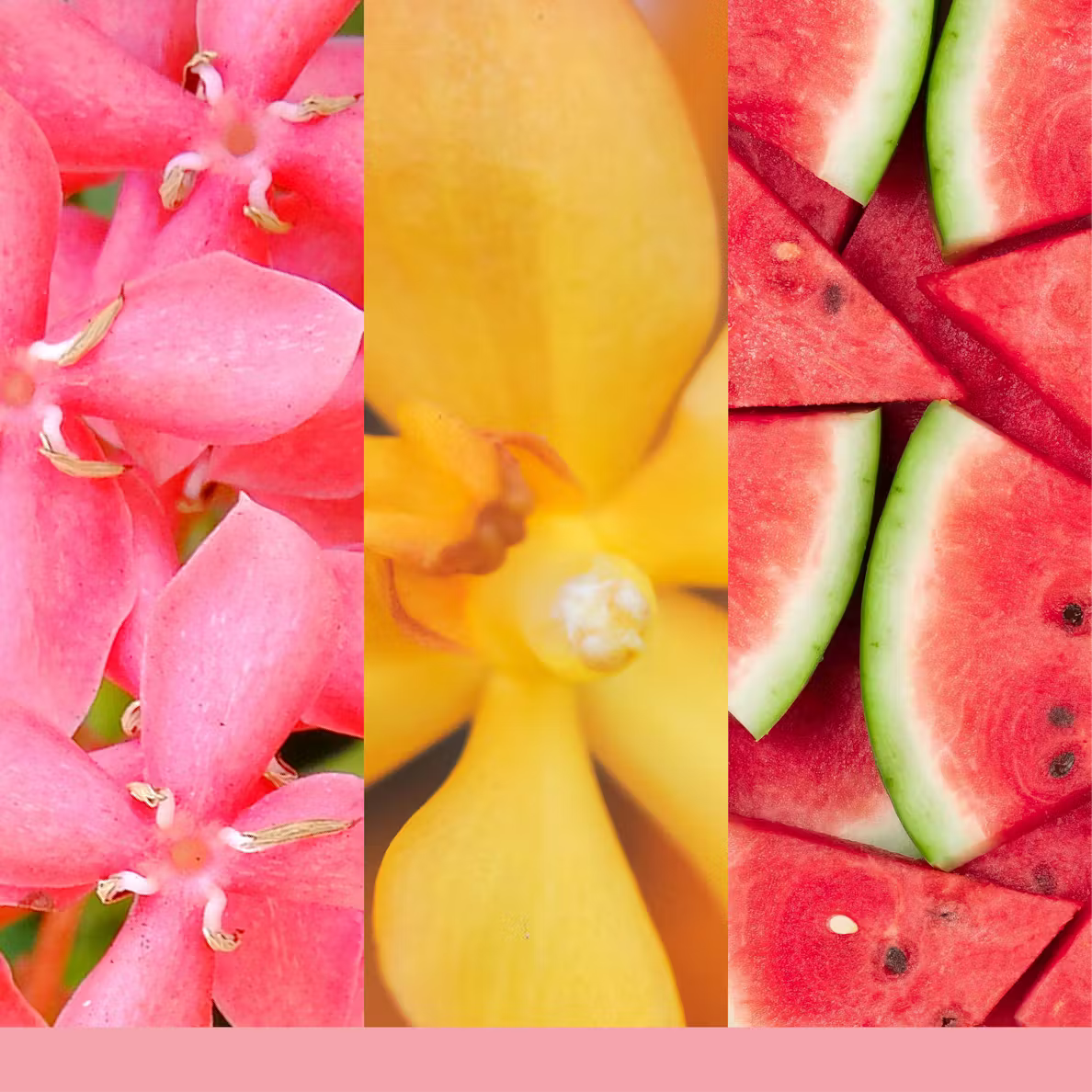 Pink Sands