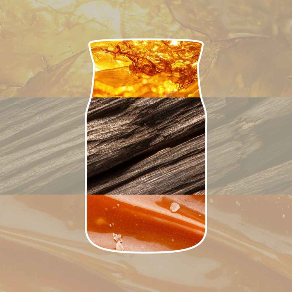 Yankee Candle Amber & Sandalwood jar artwork featuring layered images of amber crystals, dark wood grain, and warm resin.