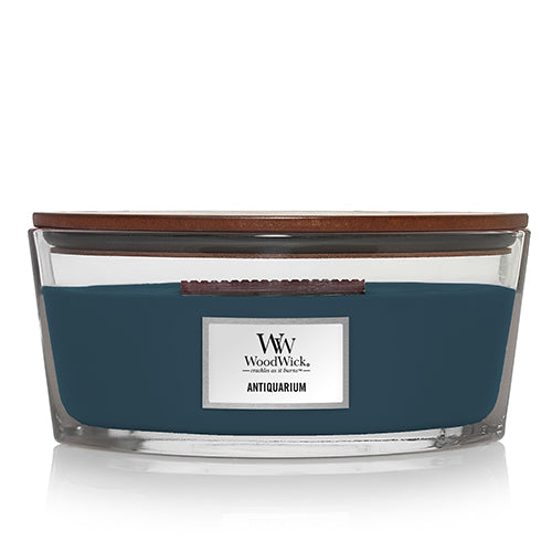 A clear glass jar candle with a navy blue wax top, branded with 'WoodWick' and the name 'Antiquarium'.