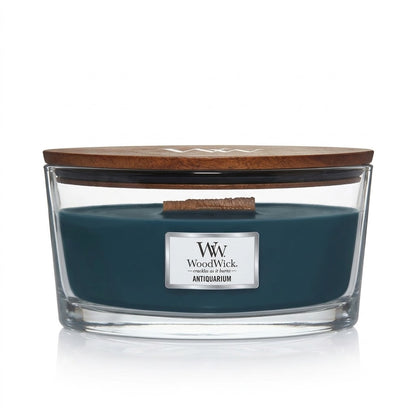 A clear glass jar candle with a navy blue wax top, branded with 'WoodWick' and the name 'Antiquarium'.