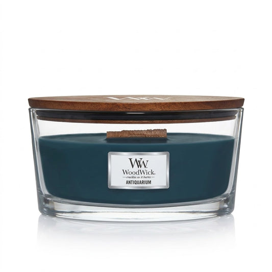 A clear glass jar candle with a navy blue wax top, branded with 'WoodWick' and the name 'Antiquarium'.