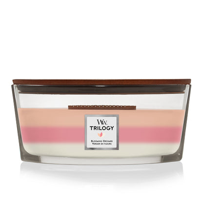 WoodWick Blooming Orchard Trilogy candle in a clear glass jar with a wooden lid.