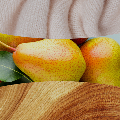 WoodWick Cashmere fragrance notes artwork displaying sweet quince, fresh sliced ginger, ripe blackberries, and rich sandalwood.