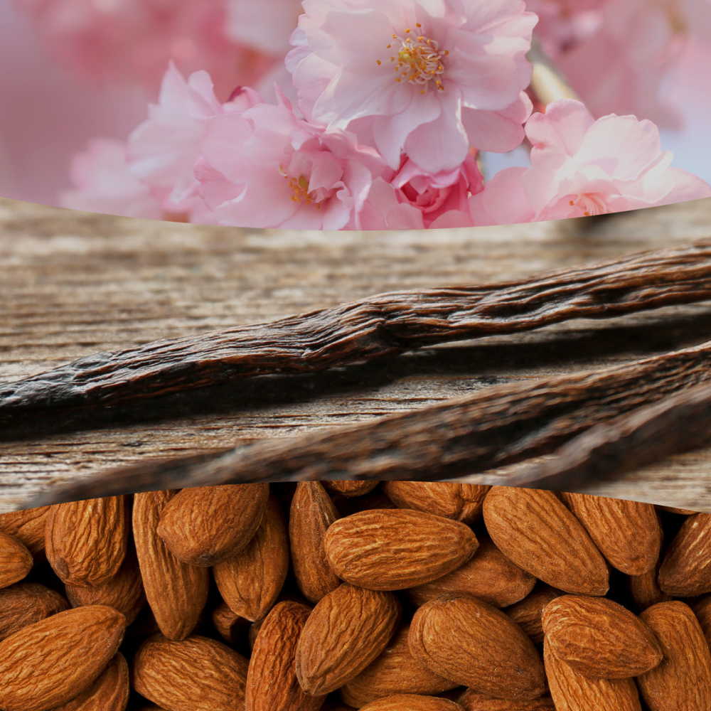 Fragrance notes collage showing delicate pink cherry blossoms, dried Madagascar vanilla beans, and sweet almond nuts for WoodWick Cherry Blossom & Vanilla.