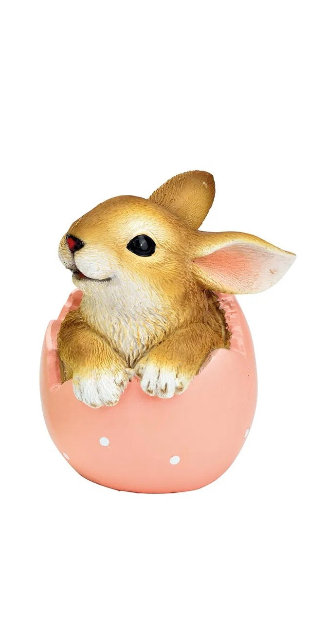 Bunny in Egg Shell