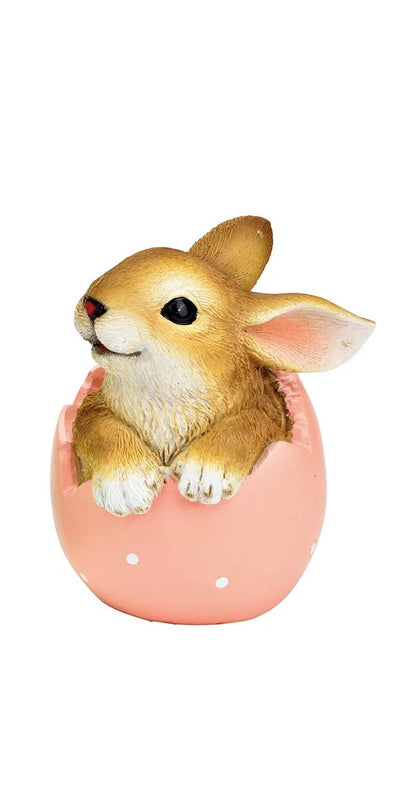 Bunny in Egg Shell
