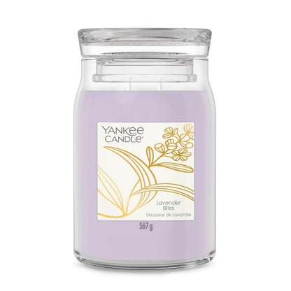 Lavender Bliss