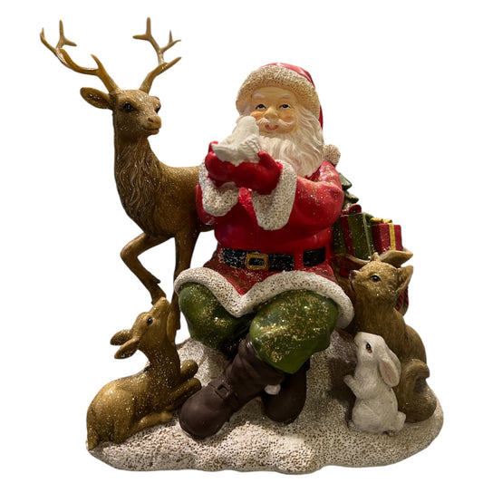 Santa With Animals