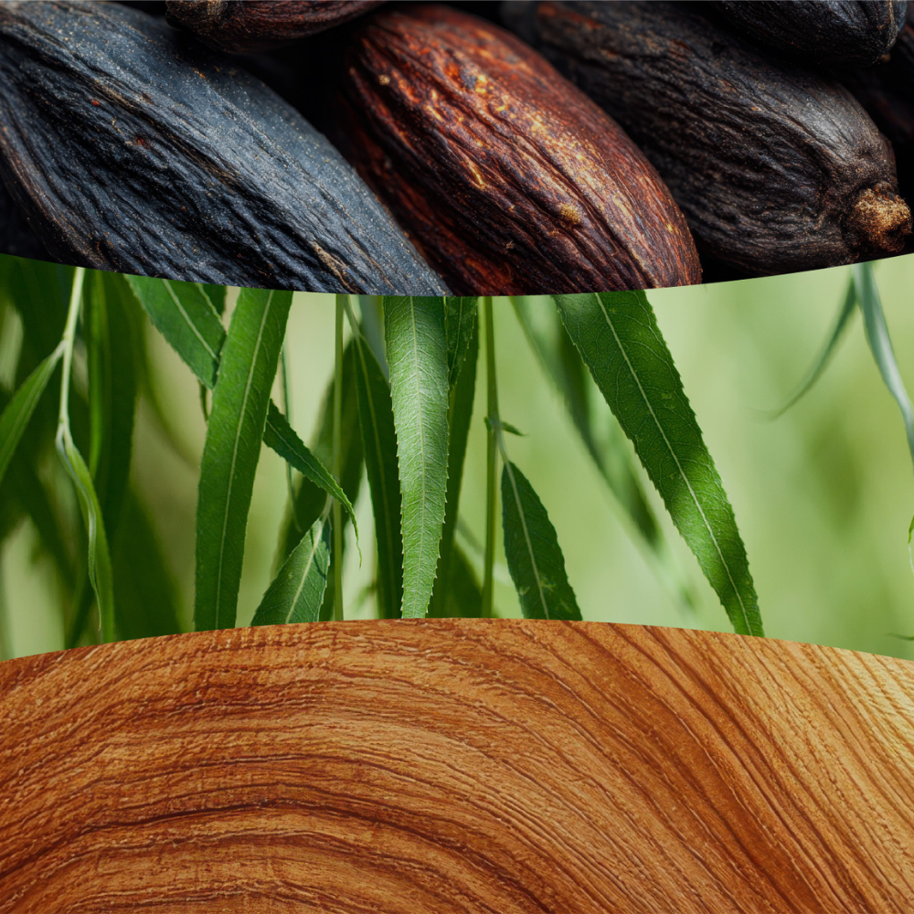 Fragrance notes image displaying tonka beans, fresh willow, and a wood cross-section background for Tonka & Almond Milk.