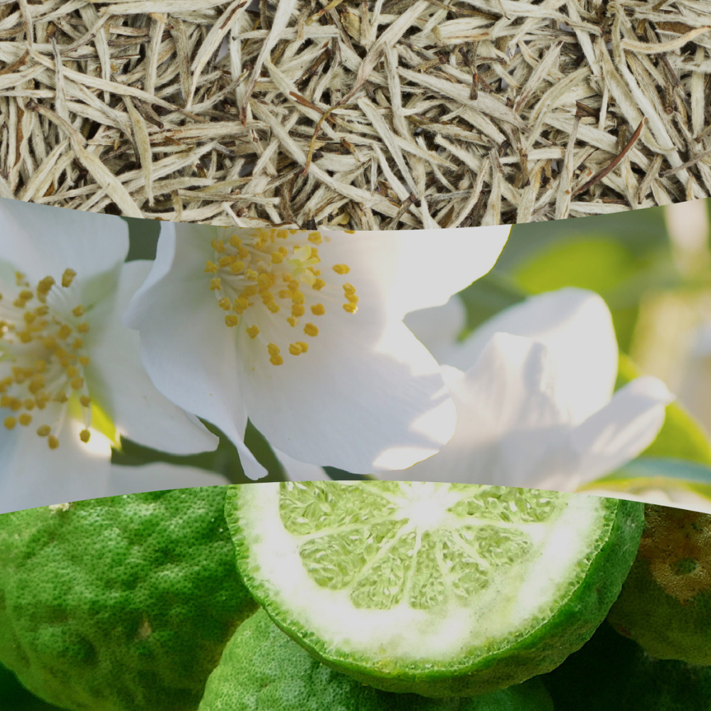 Top-down view of a white flower with green leaves and a sliced lime.