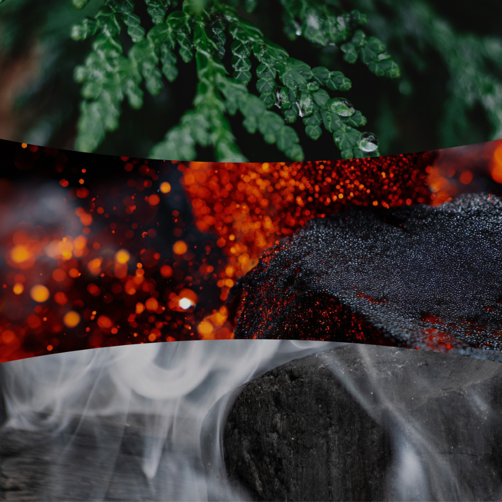 Fragrance notes collage displaying smoldering pine logs, fresh cedar leaves, and glowing embers for WoodWick Wood Smoke.